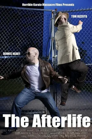 Постер к фильму The Afterlife (2013)