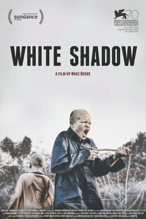 Постер к фильму Белая тень (2013)
