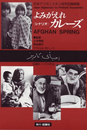Постер к фильму Афганская весна (1989)