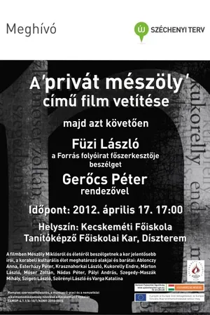 Постер к фильму Private Mészöly (2011)