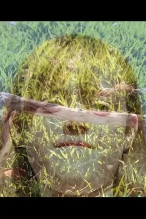 Постер к фильму Люси и Дженни (2013)