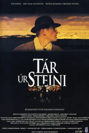 Постер к фильму Tár úr steini (1995)