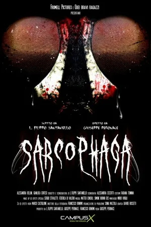 Постер к фильму Саркофаг (2013)