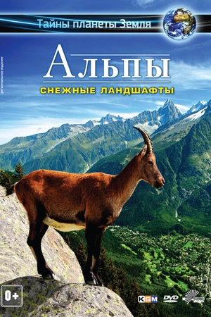 Постер к фильму Альпы 3D: Снежные ландшафты (2013)