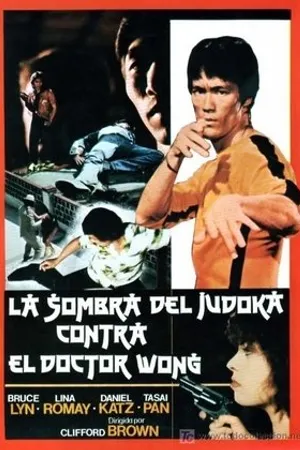 Постер к фильму Тень дзюдоиста против доктора Вонга (1985)