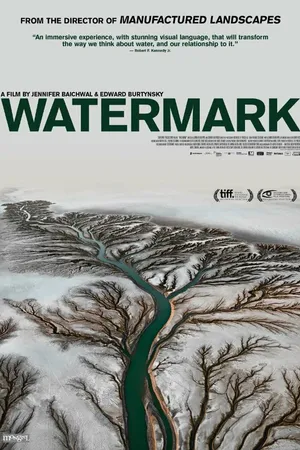 Постер к фильму Водяные знаки (2013)