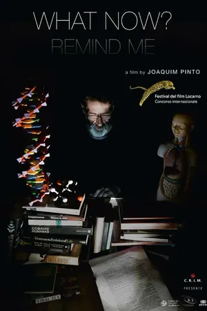 Постер к фильму А теперь? Напомни мне (2013)