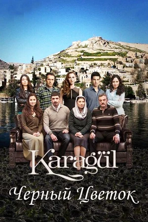 Постер к сериалу Чёрный цветок (2013 - 2016)