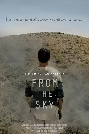 Постер к фильму From the Sky (2014)