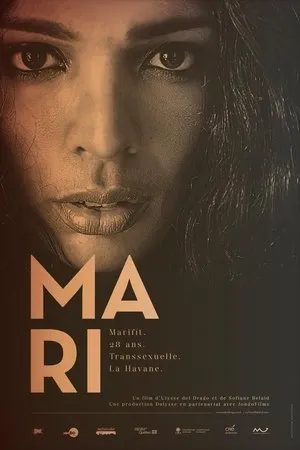 Постер к фильму Mari (2012)