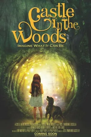 Постер к фильму Castle in the Woods (-)