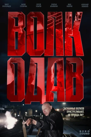 Постер к сериалу Волкодав (2025)