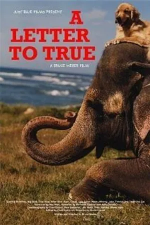 Постер к фильму A Letter to True (2004)