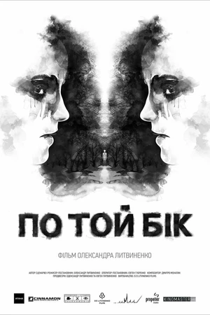 Постер к фильму По ту сторону (2014)