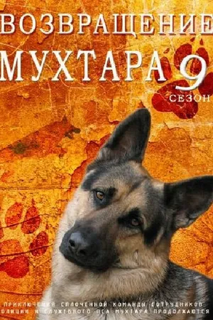 Постер к сериалу Возвращение Мухтара 9 (2013)