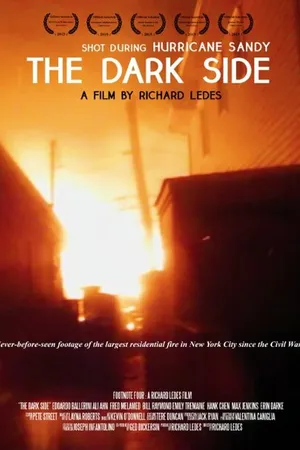 Постер к фильму The Dark Side (2015)