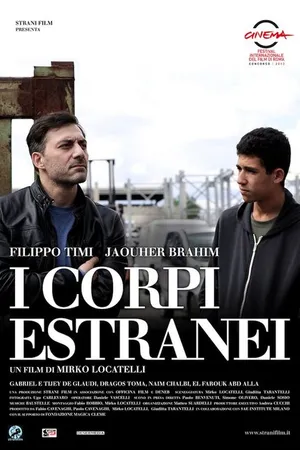 Постер к фильму Инородные тела (2013)