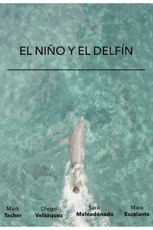Постер к фильму El Niño y El Delfín (2014)