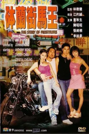 Постер к фильму История проституток (2000)