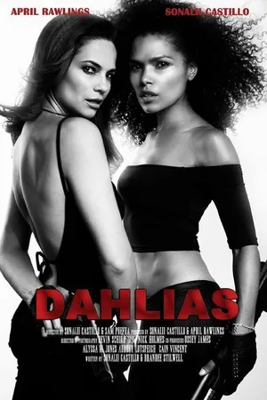 Постер к фильму Dahlias: Wild Card (2014)