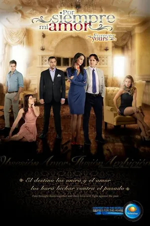 Постер к сериалу Моя любовь навсегда (2013 - 2014)