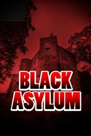 Постер к фильму Black Asylum (2013)