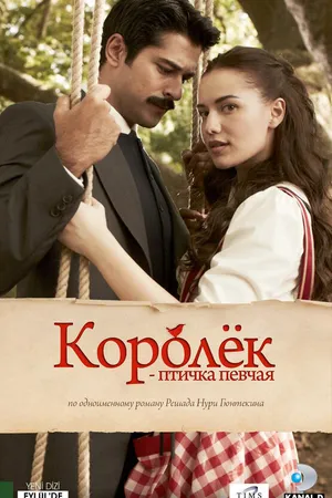 Постер к сериалу Королёк – птичка певчая (2013 - 2014)