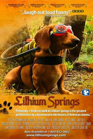 Постер к фильму Lithium Springs (2004)