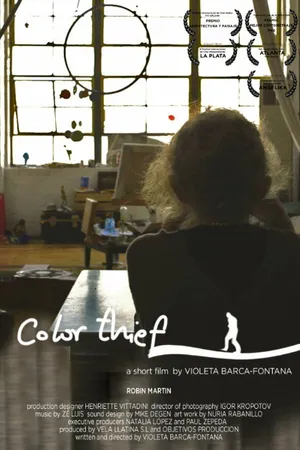 Постер к фильму Color Thief (2013)