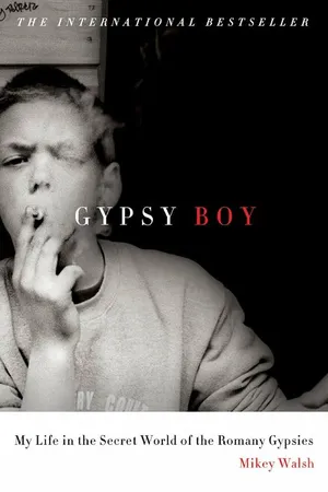 Постер к фильму Gypsy Boy (-)