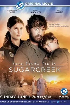 Постер к фильму Love Finds You in Sugarcreek (2014)