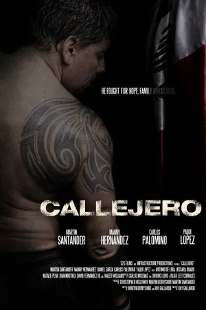 Постер к фильму Callejero (2015)