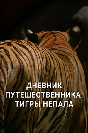 Постер к сериалу Дневник путешественника: Тигры Непала (2023)