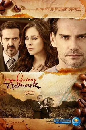 Постер к сериалу Хочу любить тебя (2013 - 2014)