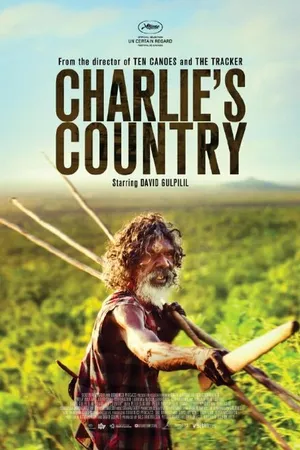 Постер к фильму Страна Чарли (2013)