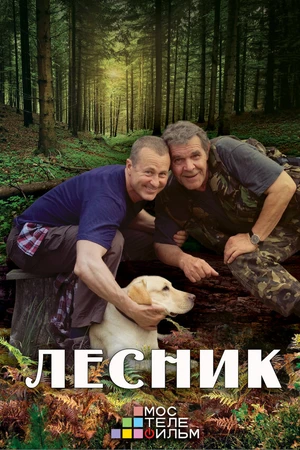 Постер к сериалу Лесник 3 (2015)