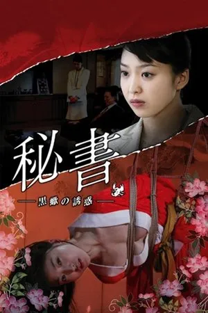 Постер к фильму Passions of a Private Secretary (2009)