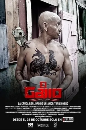 Постер к фильму El Gallo (2013)