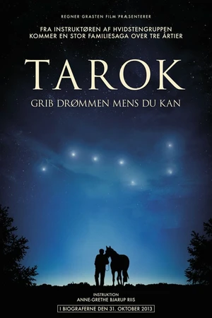 Постер к фильму Поймать мечту (2013)