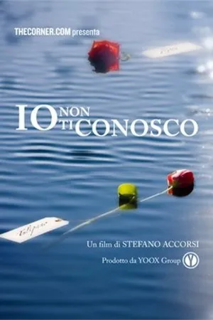 Постер к фильму Io non ti conosco (2013)