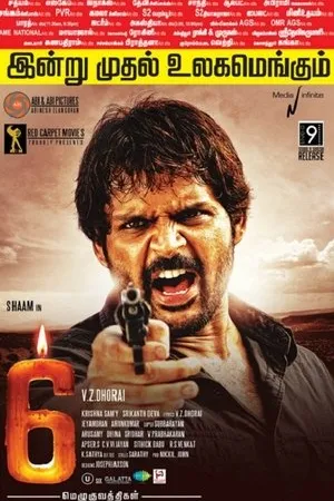 Постер к фильму 6 (2013)