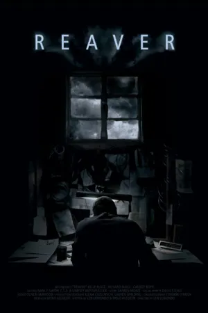 Постер к фильму Разбойник (2013)