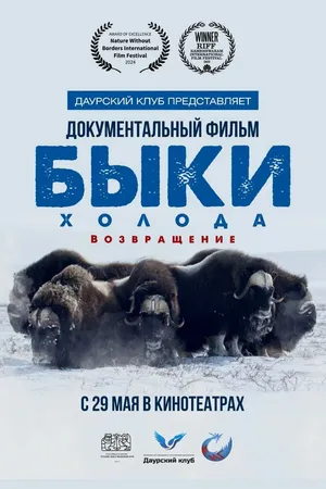 Постер к фильму Быки холода. Возвращение (2025)