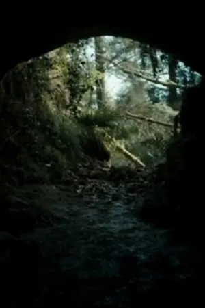 Постер к фильму The Beast (2013)