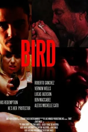 Постер к фильму Bird (2020)