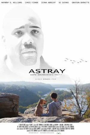 Постер к фильму Astray (2014)