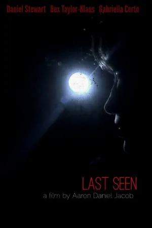 Постер к фильму Last Seen (2013)
