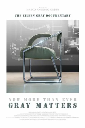 Постер к фильму Gray Matters (2014)