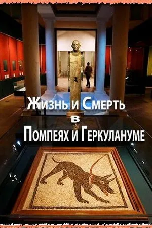Постер к фильму Жизнь и смерть в Помпеях и Геркулануме (2013)
