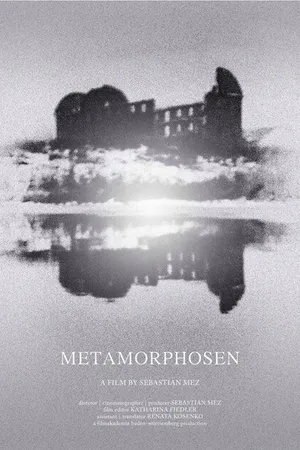 Постер к фильму Метаморфозы (2013)